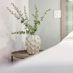 Alcaravaneras Loft Apartment