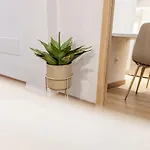 Alcaravaneras Loft Λας Πάλμας ντε Γκραν Κανάρια
