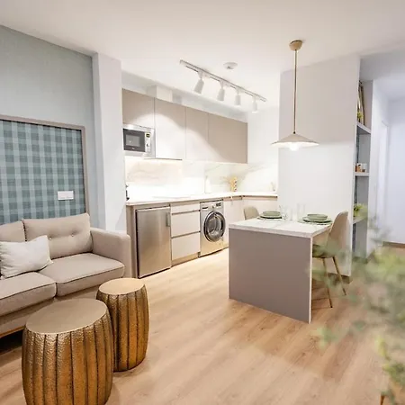 Alcaravaneras Loft 아파트