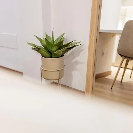 Alcaravaneras Loft 라스팔마스